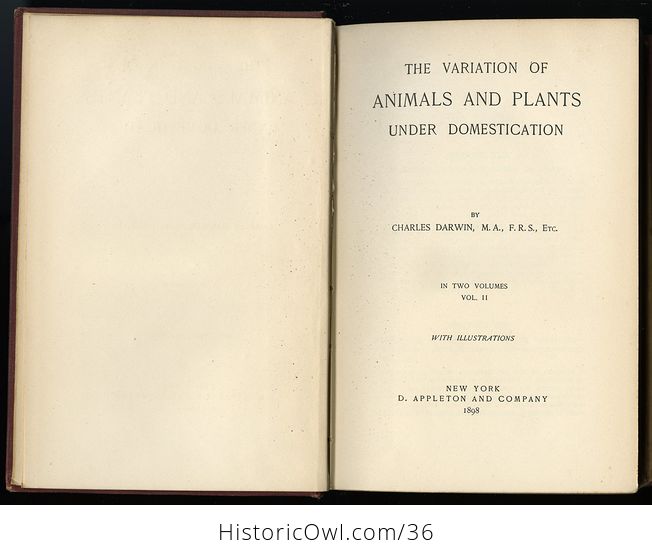 Antique Misprint Book the Variation of Animals and Plants Under Domestication by Charles Darwin C1898 - #fj3f0Yji7oc-6