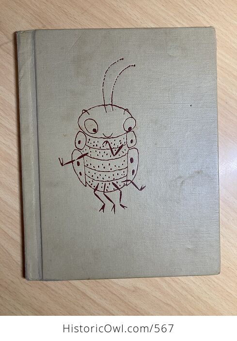 Big Bug Little Bug Vintage Childrens Book by Jean Horton Berg C1964 - #HHK3hpG77uc-1