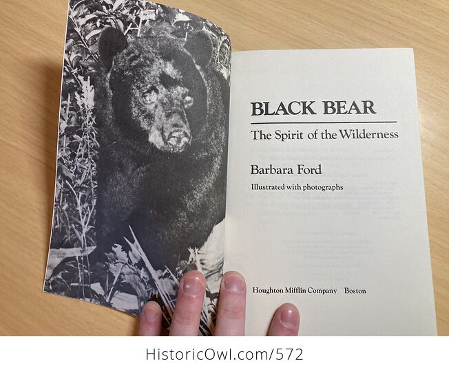 Black Bear the Spirit of the Wilderness Book by Barbara Ford C1981 - #4hMpyMPy9WA-3