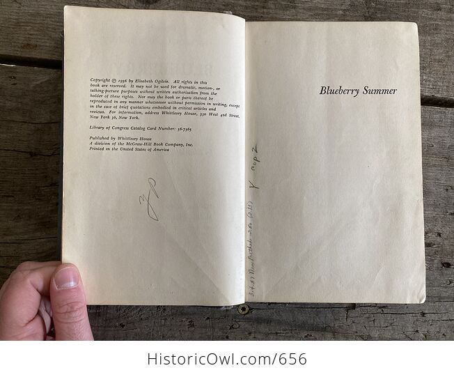 Blueberry Summer Vintage Book by Elisabeth Ogilvie C1956 - #gxJjyxGuOh0-8