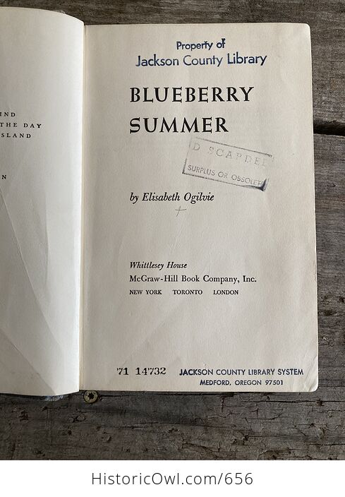 Blueberry Summer Vintage Book by Elisabeth Ogilvie C1956 - #gxJjyxGuOh0-7
