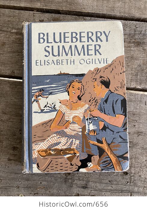 Blueberry Summer Vintage Book by Elisabeth Ogilvie C1956 - #gxJjyxGuOh0-1