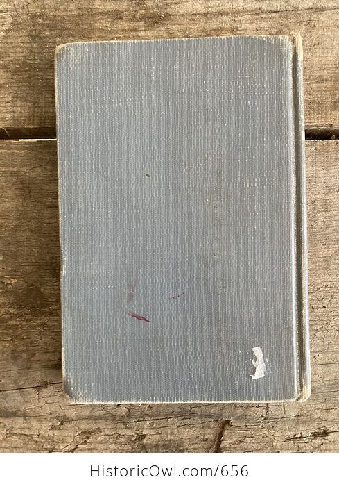 Blueberry Summer Vintage Book by Elisabeth Ogilvie C1956 - #gxJjyxGuOh0-3