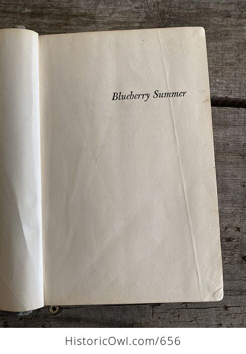 Blueberry Summer Vintage Book by Elisabeth Ogilvie C1956 - #gxJjyxGuOh0-6