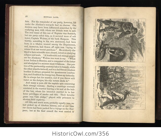 Buffalo Land an Authentic Account of the Discoveries Adventures and Mishaps of a Scientific and Sporting Party in the Wild West by W E Webb C1872 - #gIDsBTy9PQY-7