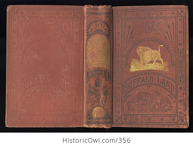 Buffalo Land an Authentic Account of the Discoveries Adventures and Mishaps of a Scientific and Sporting Party in the Wild West by W E Webb C1872 - #gIDsBTy9PQY-2