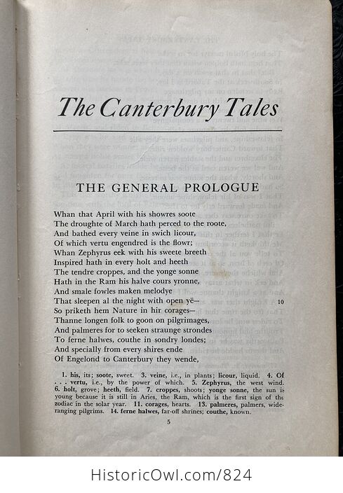 Chaucers Poetry an Anthology for the Modern Reader Book Edited by Et Donaldson C1958 - #jmUhYACyYCE-14
