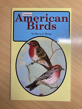 Common American Birds Book by Harry J Baerg C1994 #D48Y7NU1TBM