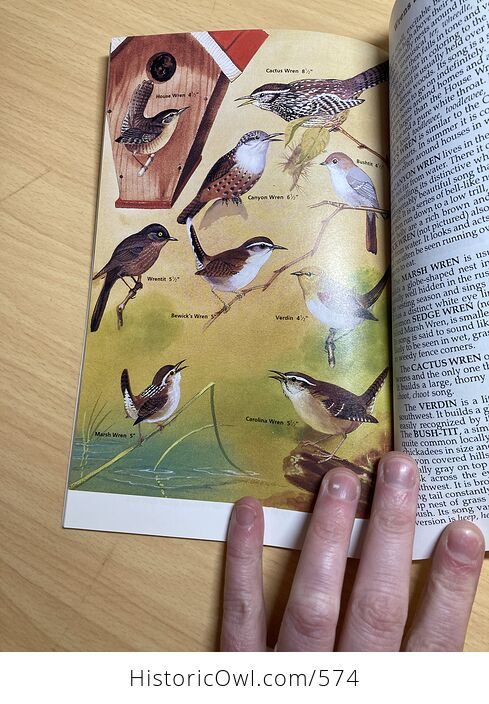 Common American Birds Book by Harry J Baerg C1994 - #D48Y7NU1TBM-5