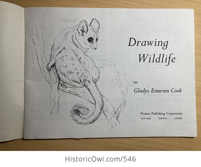 Drawing Wildlife Book by Gladys Emerson Cook - #0CZkzvUaOzk-5