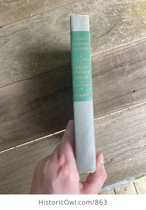 Each Bright River a Novel of the Oregon Country Vintage Book by Mildred Masterson Mcneilly C1950 - #FNjR2GxEdtY-1