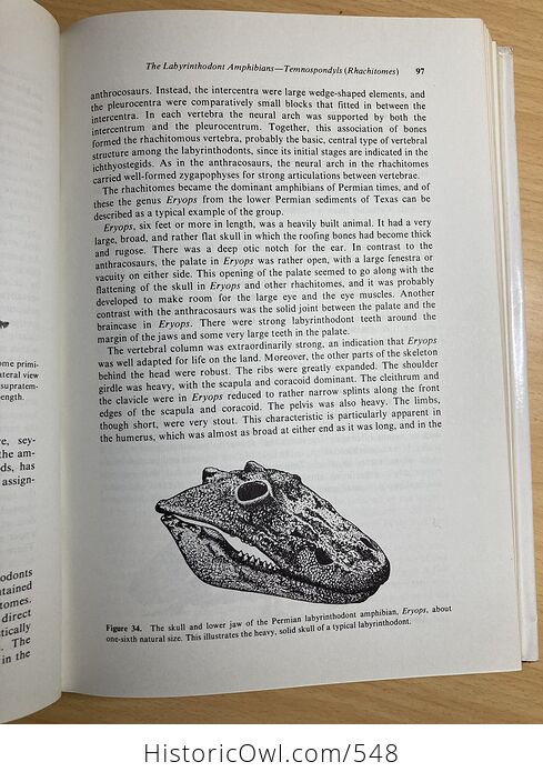 Evolution of the Vertebrates Third Edition by Edwin H Colbert C1980 - #3B9FUyF0n0g-8