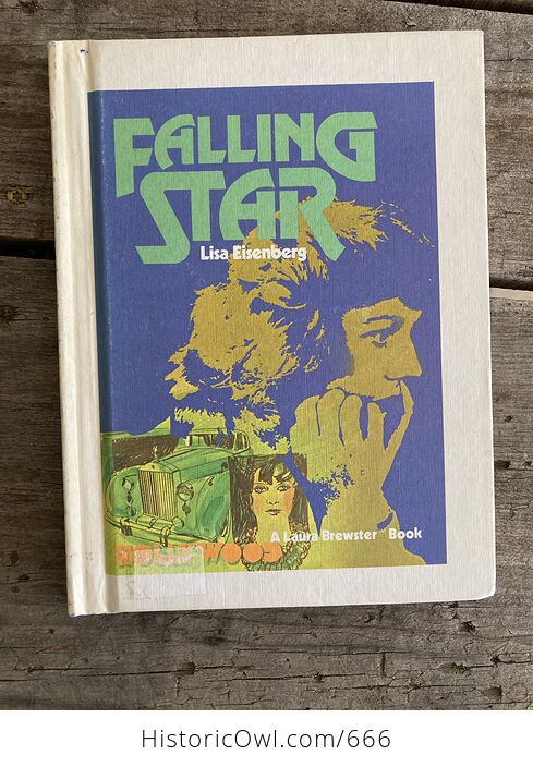 Falling Star a Laura Brewster Book by Lisa Eisenberg C1980 - #jKDRUheLORU-1