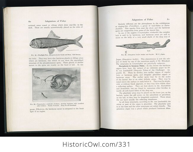 Fishes Book by David Starr Jordan C1925 - #mrkFhL7Yu2o-6