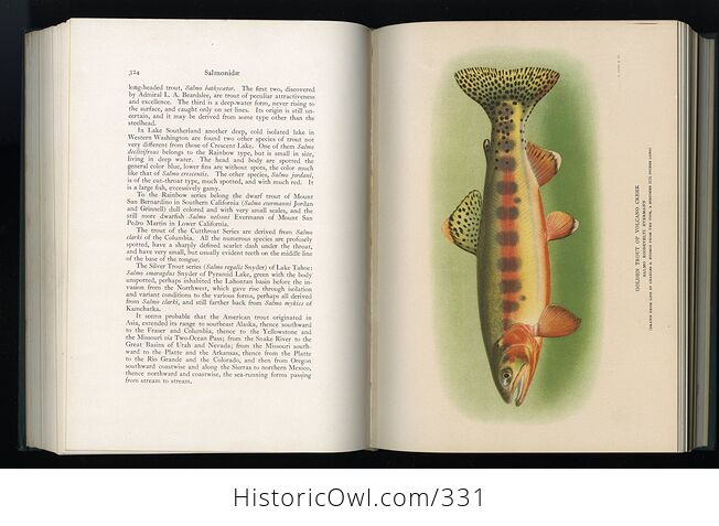 Fishes Book by David Starr Jordan C1925 - #mrkFhL7Yu2o-8