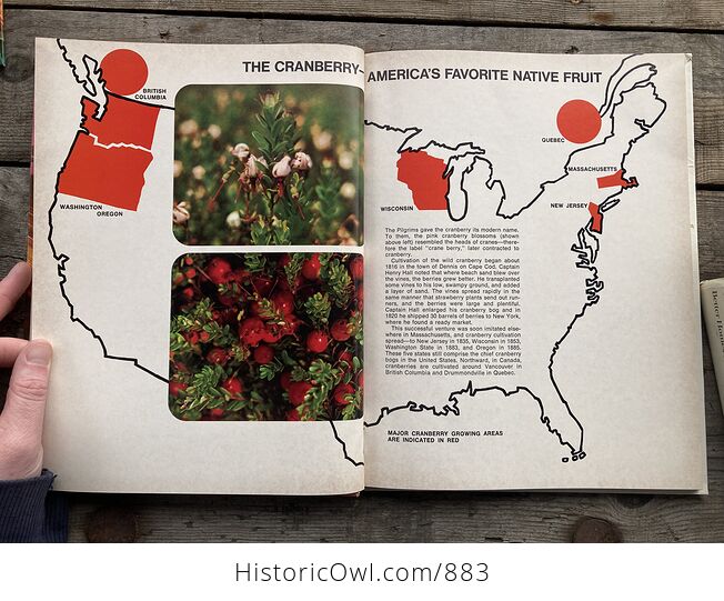 Five Seasons Cranberry Book with Recipes C1971 - #nsHkObpt1cc-5