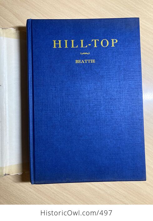 Hill Top Vintage Book by Jessie L Beattie C1935 - #0bnnihmUFIo-3