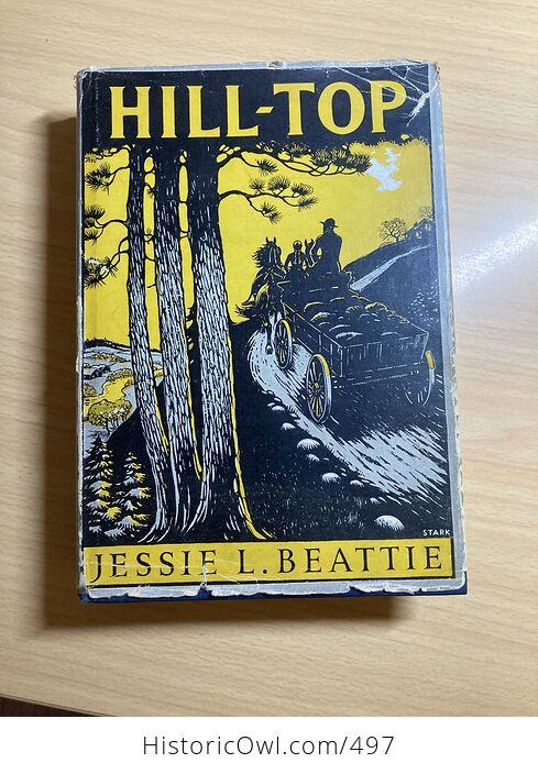 Hill Top Vintage Book by Jessie L Beattie C1935 - #0bnnihmUFIo-1