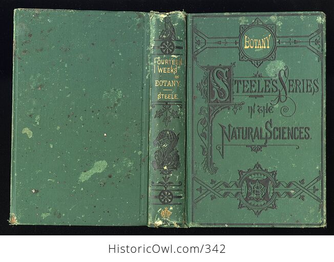 How to Study Plants Fourteen Weeks in Botany Being an Illustrated Flora Antique Illustrated Book by Alphonso Wood and J Dorman Steele C1879 - #rc4zlE1XwUU-2
