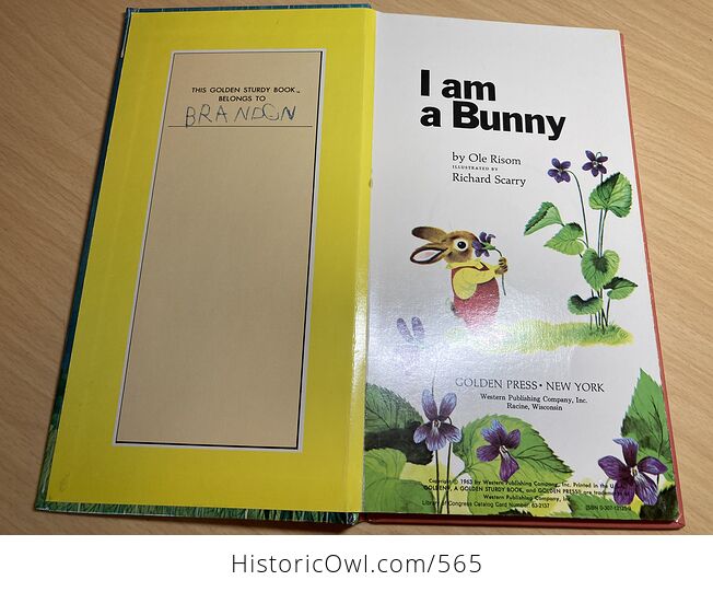 I Am a Bunny Vintage Childrens Book by Ole Risom C1963 - #4pG5NQUObPw-3