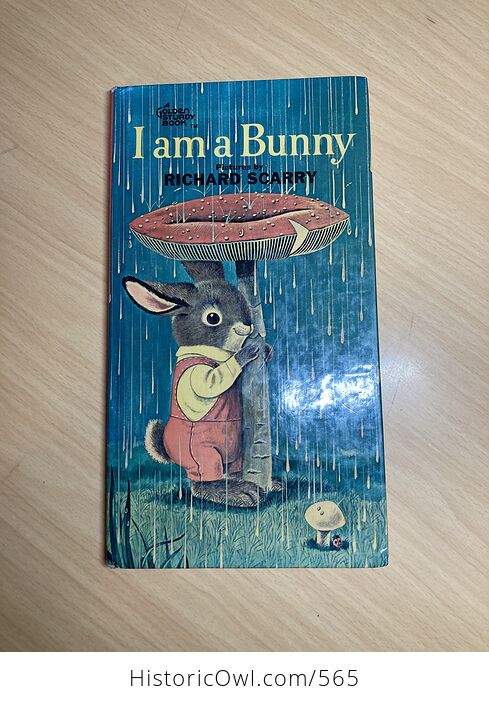 I Am a Bunny Vintage Childrens Book by Ole Risom C1963 - #4pG5NQUObPw-1