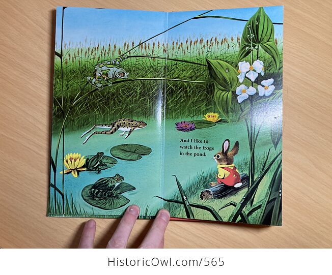 I Am a Bunny Vintage Childrens Book by Ole Risom C1963 - #4pG5NQUObPw-5