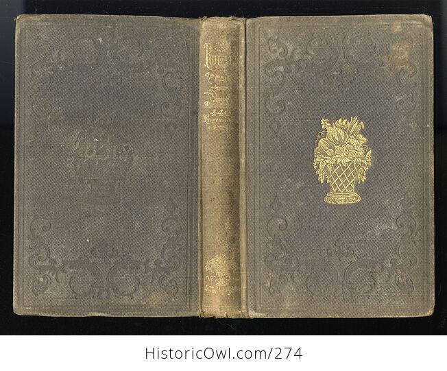 Illustrated Annual Register of Rural Affairs 1855 1856 1857 Antique Book C1858 - #JnYyyhhfWxw-5
