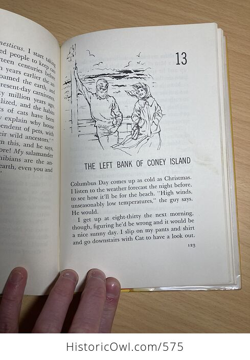 Its like This Cat Book by Emily Neville C1963 - #WrcddDtWgG0-12