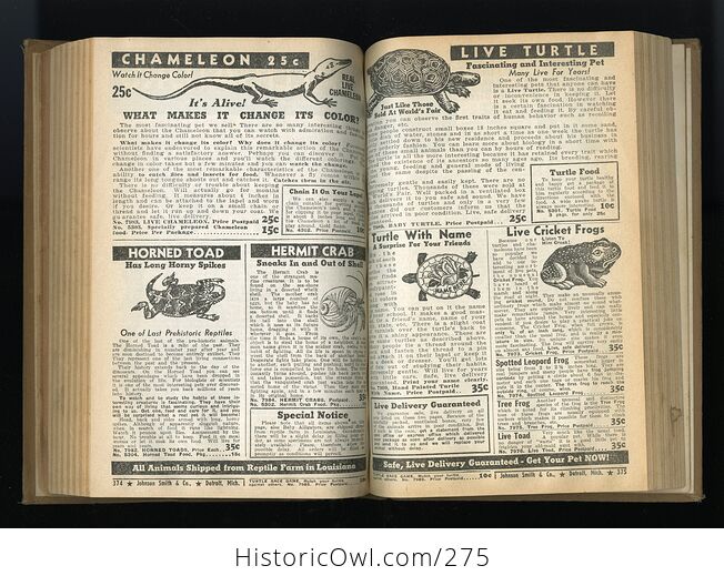 Johnson Smith Co Catalogue of Novelties De Luxe Edition Vintage Illustrated Book - #moZcPADI8sE-4