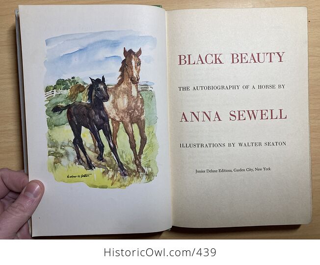 Junior Deluxe Editions Vintage Book Black Beauty the Autobiography of a Horse by Anna Sewell Illustrated by Walter Seaton Cmcmliv 1954 - #1rkhmiEfNCQ-3