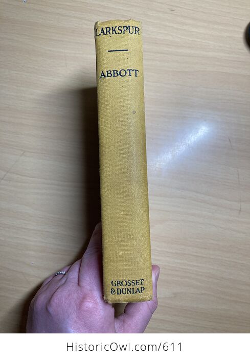 Larkspur Antique Book by Jane Abbott C1919 - #IJBqCflWo8M-2