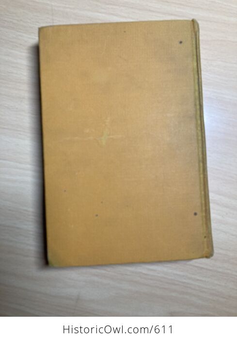 Larkspur Antique Book by Jane Abbott C1919 - #IJBqCflWo8M-3