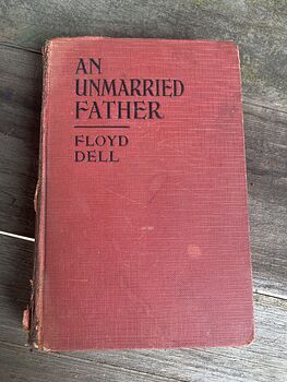 Little Accident Photoplay Title of an Unmarried Father a Novel by Floyd Dell Grosset and Dunlap C1927 #wzLZSI21JFQ