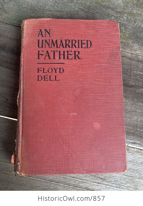 Little Accident Photoplay Title of an Unmarried Father a Novel by Floyd Dell Grosset and Dunlap C1927 - #wzLZSI21JFQ-1