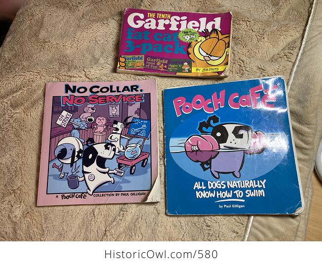 Lot of 3 Garfield and Pooch Cafe Comic Books - #XChTk2Jwbrk-1