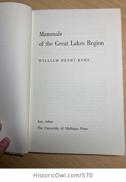 Mammals of the Great Lakes Region Book by William H Burt C1969 - #lnUOHwweoyM-13