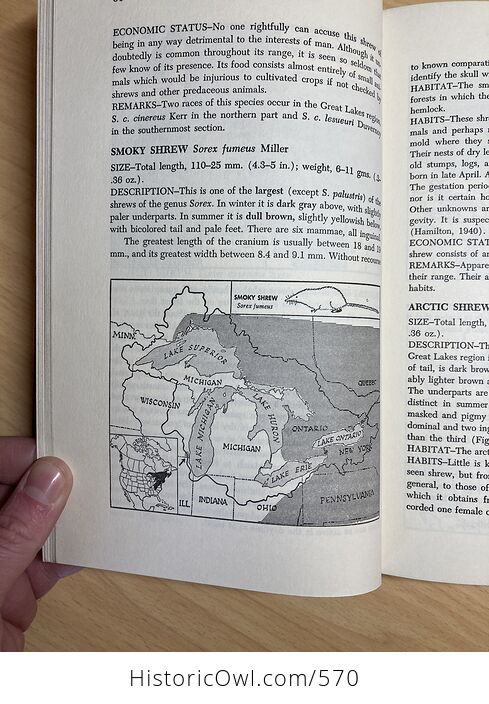 Mammals of the Great Lakes Region Book by William H Burt C1969 - #lnUOHwweoyM-9