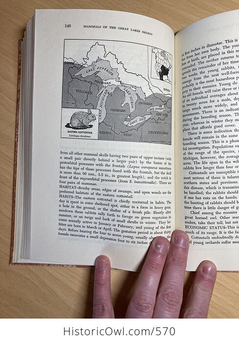 Mammals of the Great Lakes Region Book by William H Burt C1969 - #lnUOHwweoyM-11