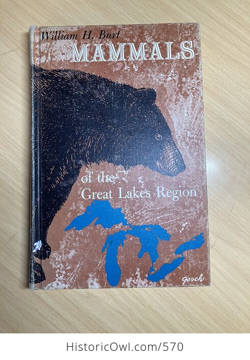 Mammals of the Great Lakes Region Book by William H Burt C1969 - #lnUOHwweoyM-1