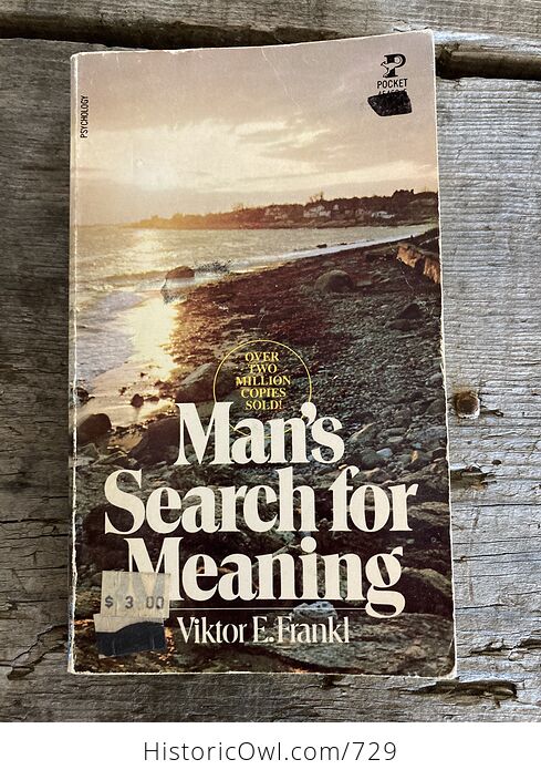 Mans Search for Meaning Book by Viktor E Frankl C1963 - #SAIqa7SSqJM-1