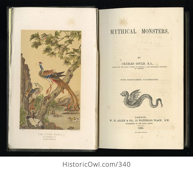 Mythical Monsters Rare Book by Charles Gould C1886 First Edition - #8uFwNotUkJ0-3