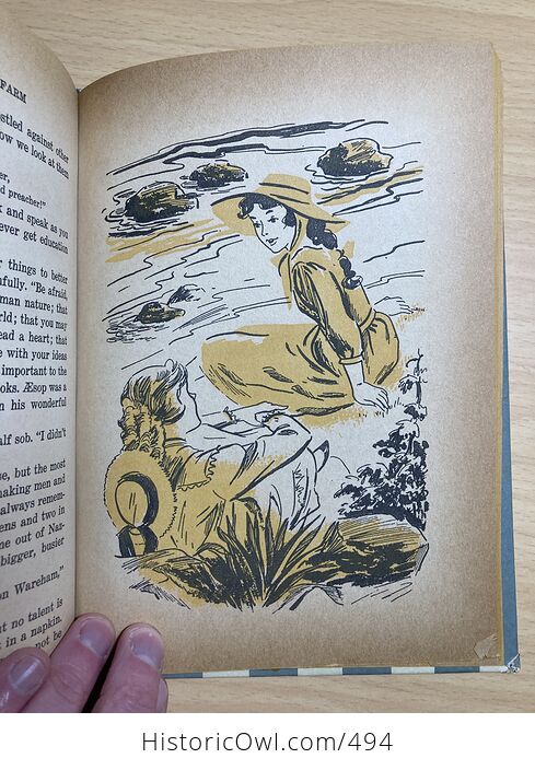 Rebecca of Sunnybrook Farm Vintage Book by Kate Douglas Wiggin Illustrated by Sari Whitman Publishing Company C1960 - #EeDUZkqDDe8-11