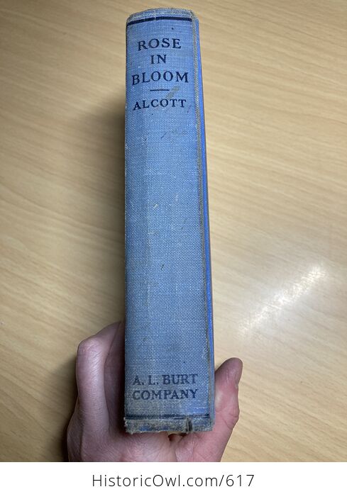 Rose in Bloom a Sequel to Eight Cousins Antique Book by Louisa M Alcott C1918 - #SRCm8UF15HM-12