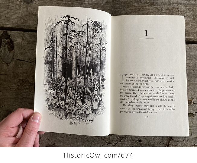 Secret in the Stlalakum Wild Book by Christie Harris C1972 - #w63ZwE9UyLI-6