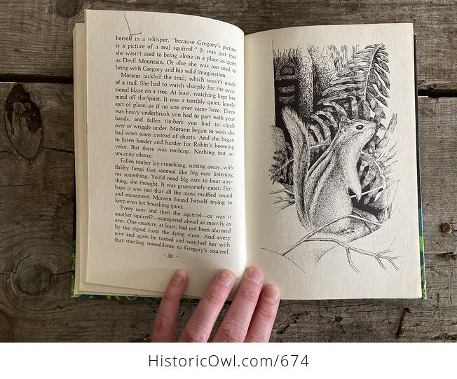 Secret in the Stlalakum Wild Book by Christie Harris C1972 - #w63ZwE9UyLI-5