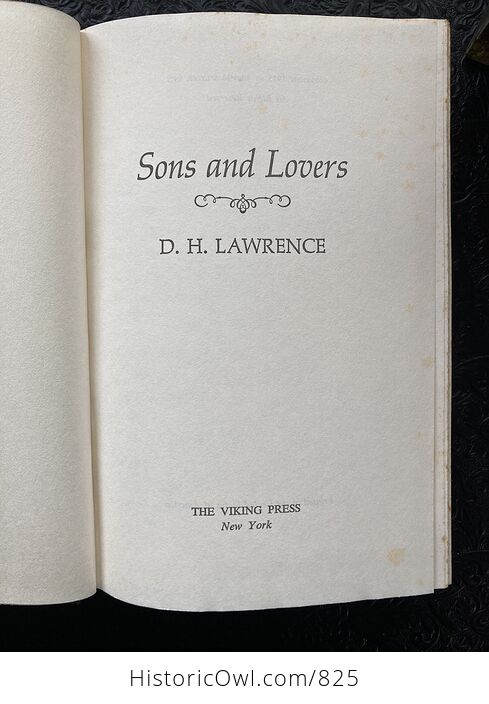 Sons and Lovers Book by D H Lawrence C1913 - #1GFI4lczOTQ-6