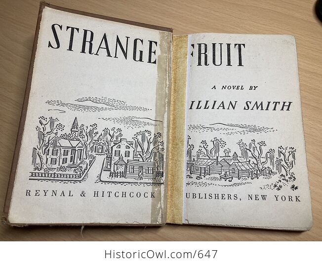 Strange Fruit Vintage Book by Lillian Smith C1944 - #8bLAL5RuIGE-6