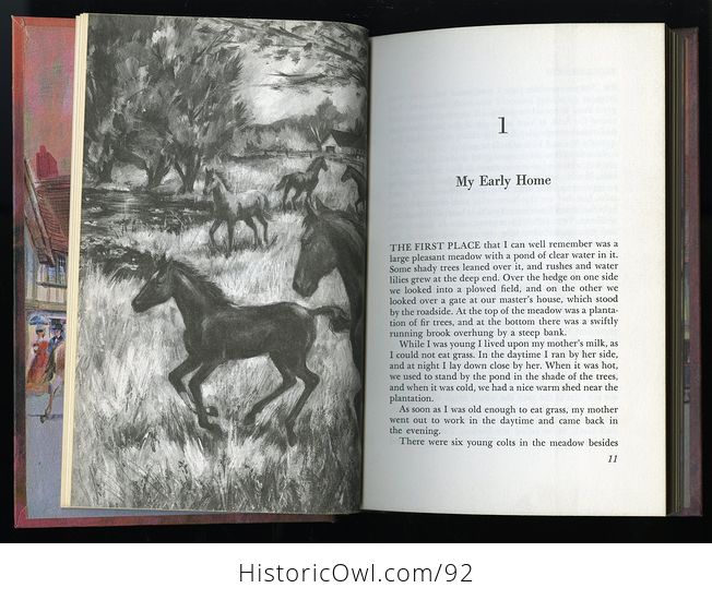 Stunning Vintage Book Black Beauty Unabridged by Anna Sewell Golden Press Edition Illustrated by William Steinel C1965 - #ylazipLu6g4-10