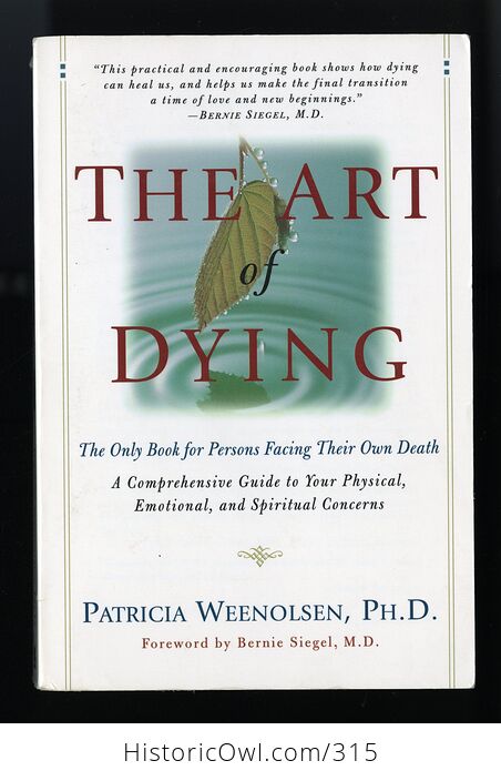 The Art of Dying the Only Book for Persons Facing Their Own Death by Patricia Weenolsen C1997 - #Q84avJGdrns-1