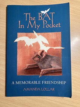 The Bat in My Pocket a Memorable Friendship by Amanda Lollar C1992 #ZlQF81hsrFg